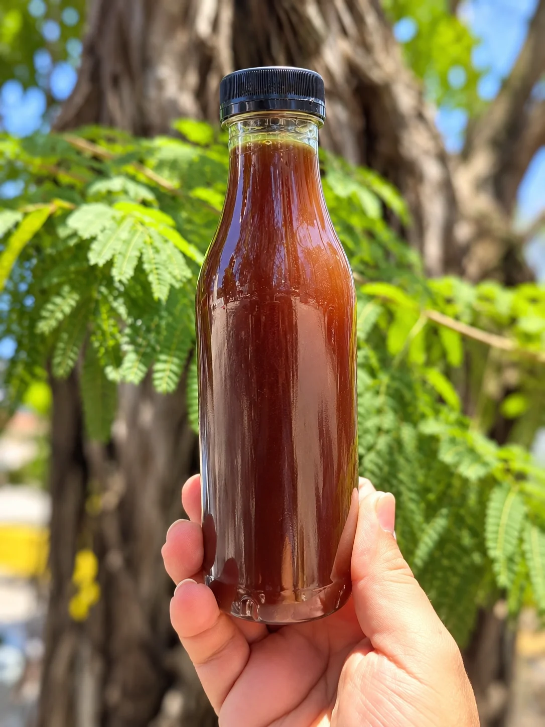 Mel de Engenho Artesanal 500 ml — foto 1